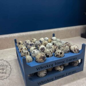 30 Count Jumbo Quail Egg Stacking Tray