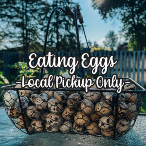 Eating Eggs